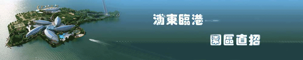 上海臨港新城